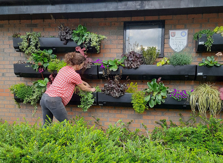 Ways to create environmentally friendly floral displays