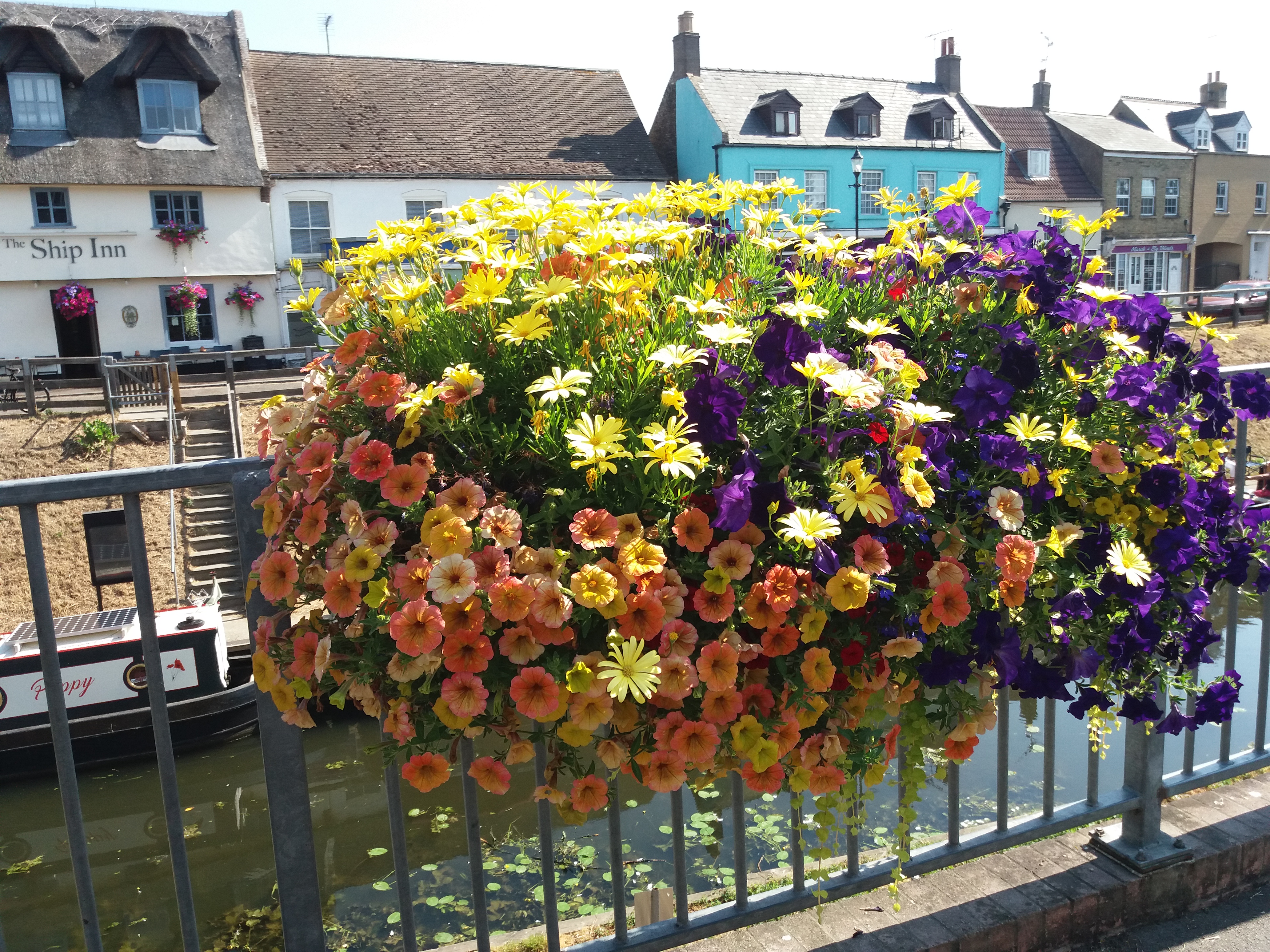 Will you be the 2019 lucky winner of £1000 of Amberol products?