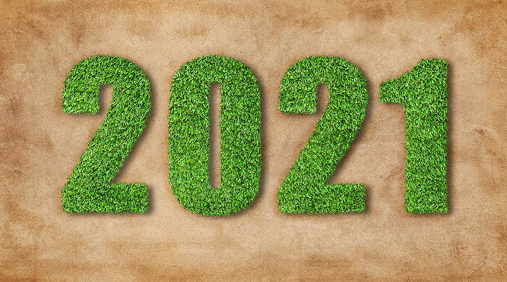 Welcome 2021 - let’s make it bright and beautiful