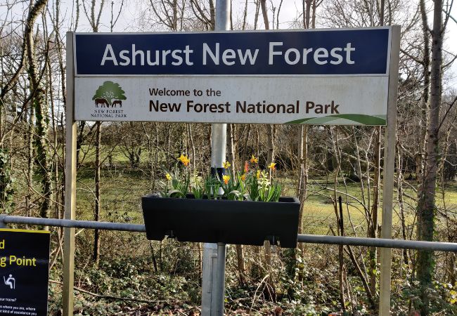 Spring makeover at Ashurst Railway Station