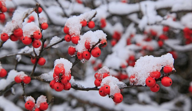 Autumn/winter photo competition OPENS