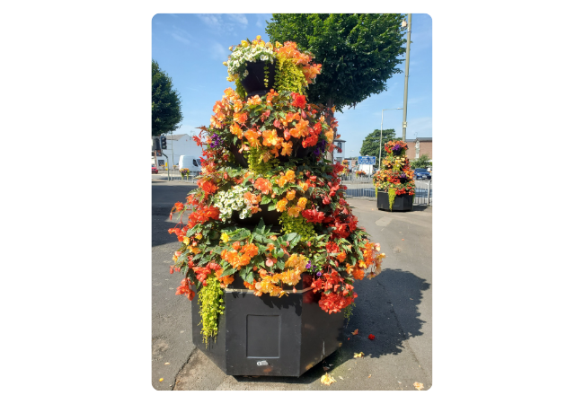 Wall Heath in Bloom win photo competition