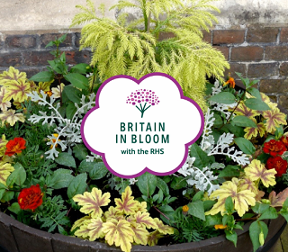 Good luck to the Britain in Bloom 2026 finalists!
