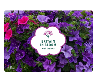 Congratulations to the RHS Britain in Bloom 2026 winners!