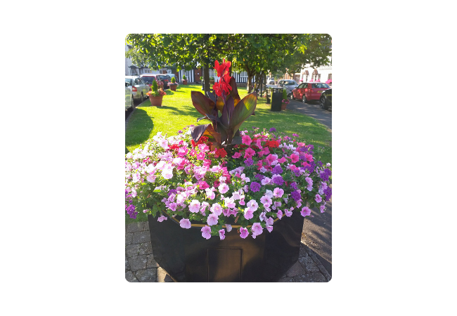 How to sustain and attract wildlife in your community garden this spring