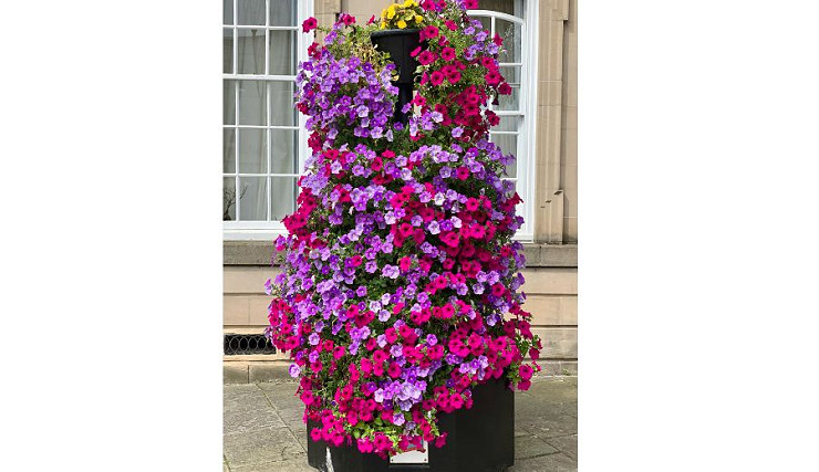 Spring/summer photo competition winner announced