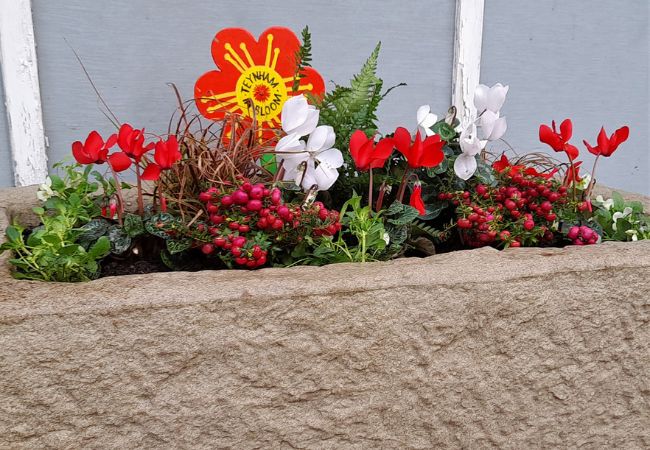 Have you entered our latest seasonal photo competition yet?