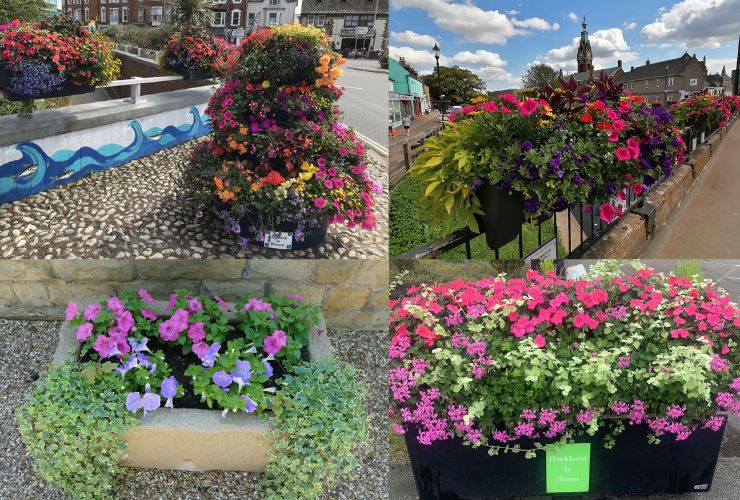 Are you looking for some summer planting inspiration?