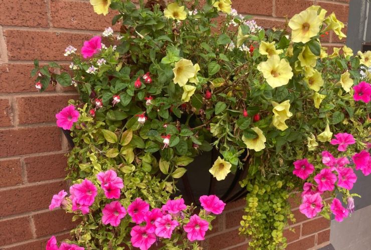 Tim’s Travel Blog… spotlight on Amberol’s long-lasting products