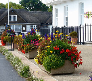 Coronation National Gardening Week