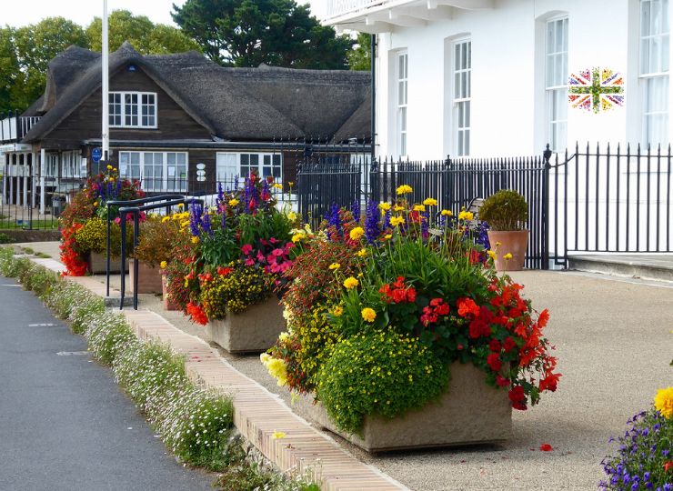 Coronation National Gardening Week