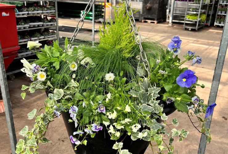 Tim’s Travel Blog… spotlight on seasonal planters