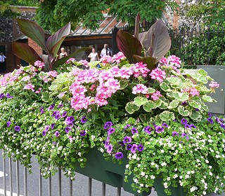 How has Britain in Bloom judging changed for 2019?