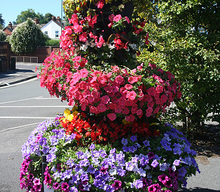 Spotlight on Amberol customers in the national Britain in Bloom finals – Large towns and small cities
