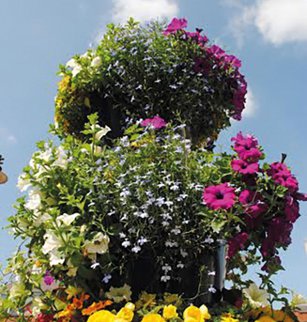 13 a lucky number for Britain in Bloom success