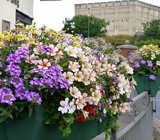 5 top tips for a successful Britain in Bloom judges’ visit