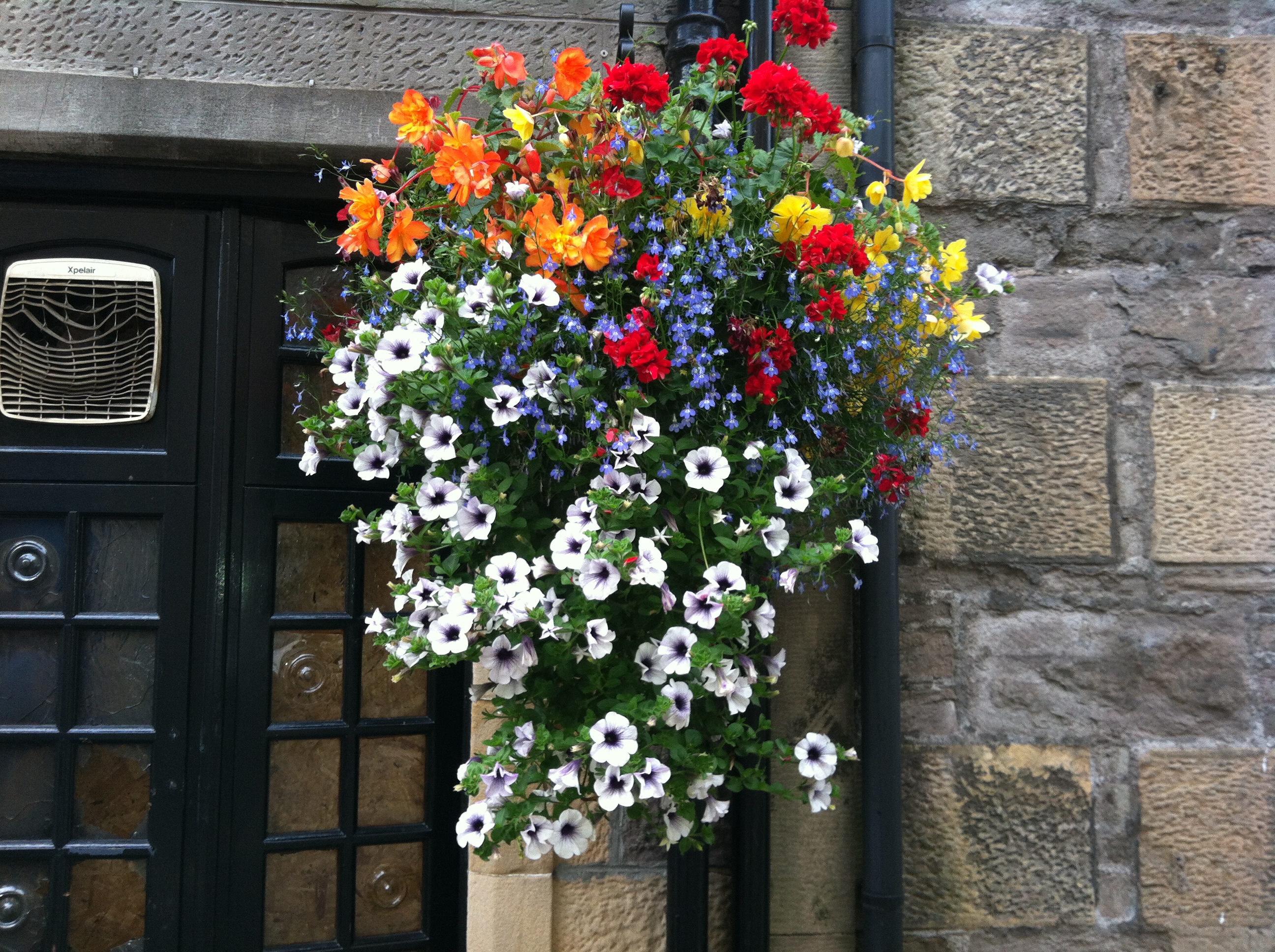 What’s new in the plant world for 2019?