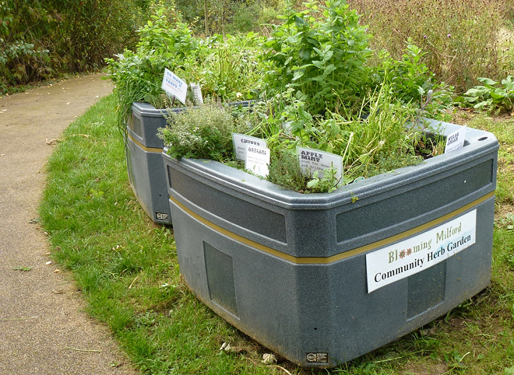 Celebrating community gardening with the RHS