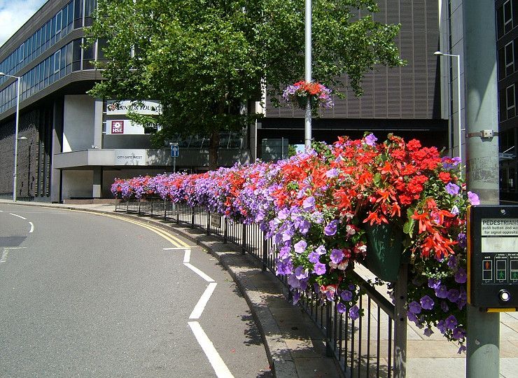 A brilliant year for Britain in Bloom