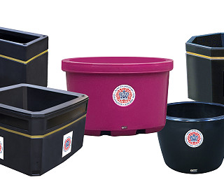 Preparing your floral displays for the coronation? See our Top 5 Planters…