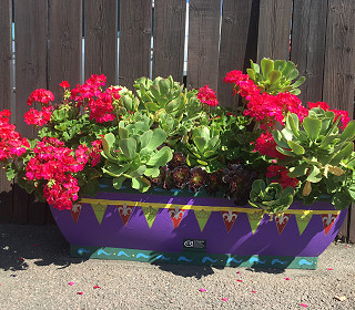 Self-watering planters to the rescue for councils, Britain in Bloom groups and gardeners