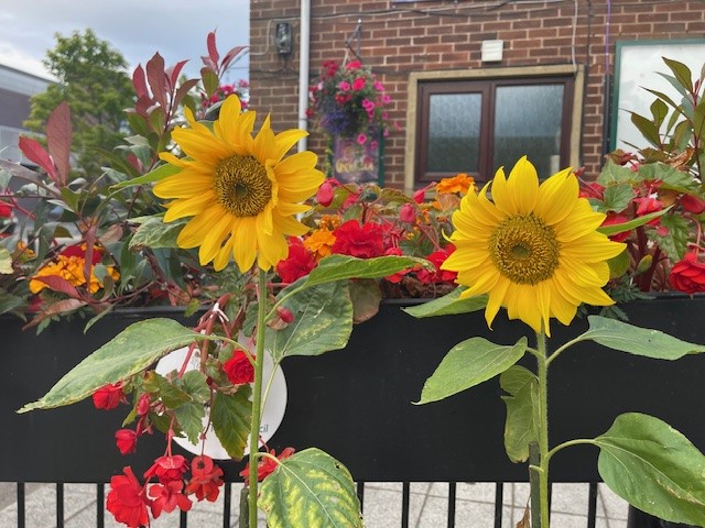 Planning for the warmest year on record