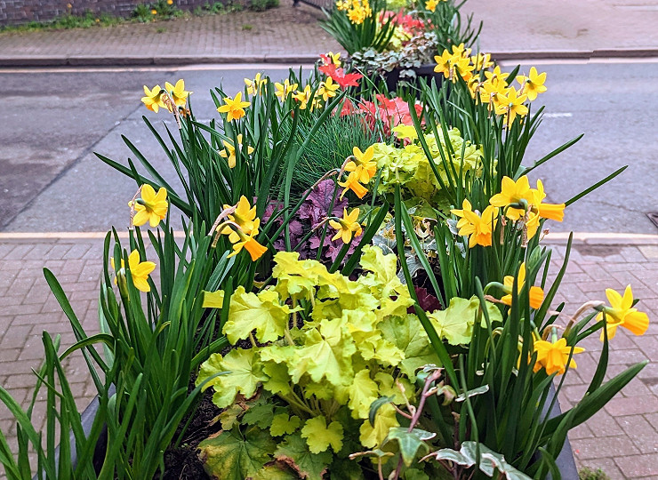 Autumn/winter photo competition winner announced