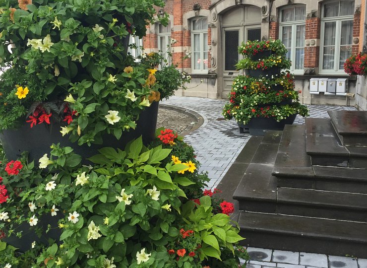 ​Out and about with Amberol