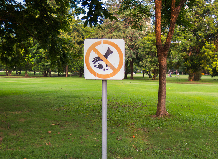 Jeremy Paxman urges a co-ordinated approach to tackling litter