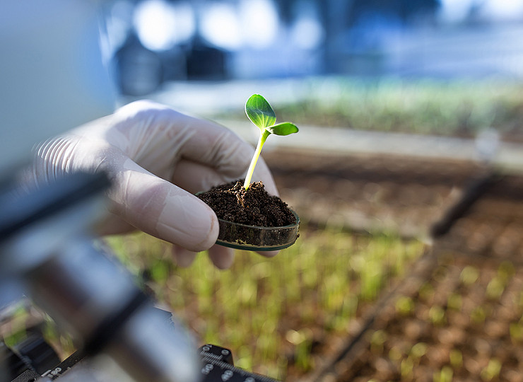RHS to open new Centre for Science and Learning in 2021
