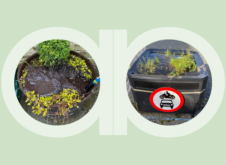 Waterlogged Planters