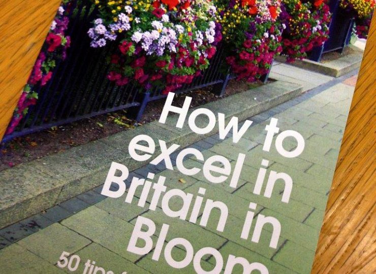 Britain in Bloom – some last minute tips
