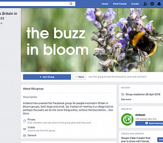 Looking for inspiration? Join Amberol’s Buzz in Bloom Facebook group