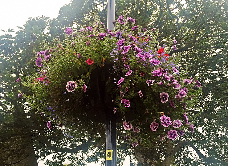 Getting to know Ireland’s TidyTowns competition