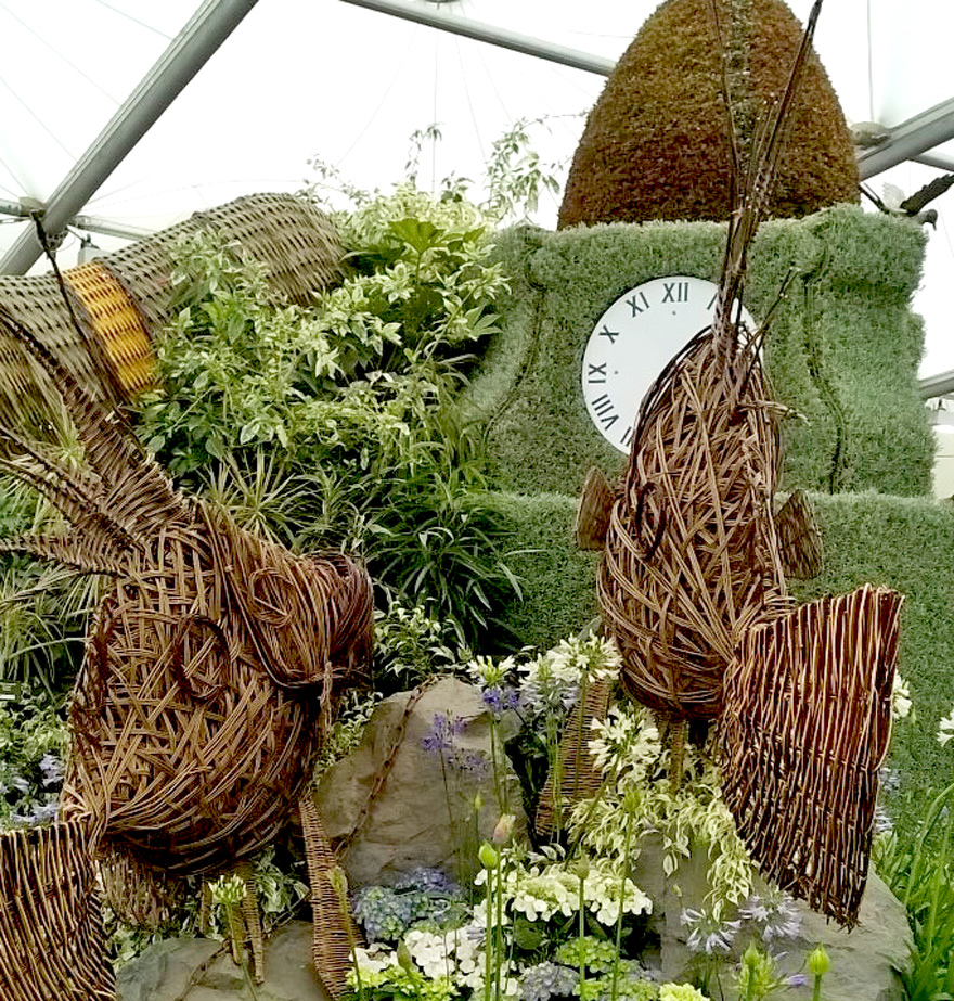 Success at this year's Chelsea Flower Show!