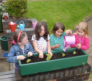 Why self-watering planters are a great choice for a school garden