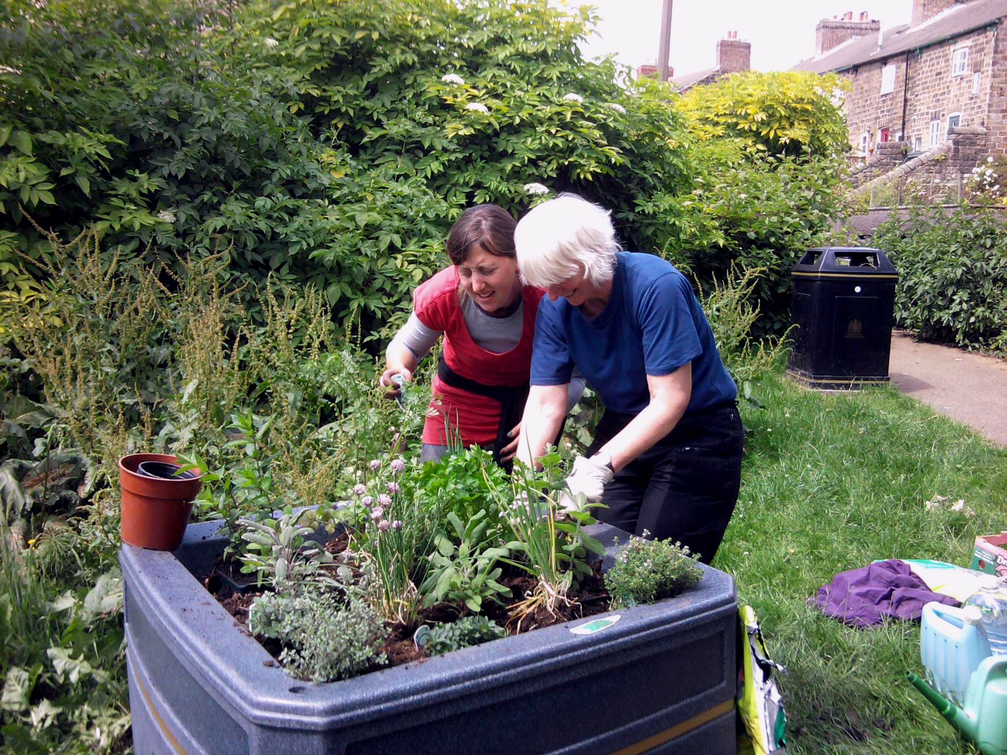 How to get your community involved in Britain in Bloom
