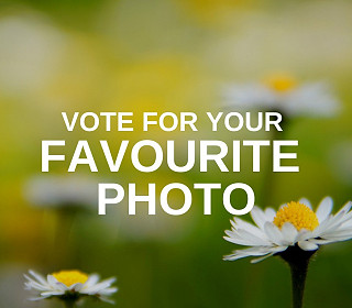 Get voting for your favourite photo from our autumn/winter photo competition!