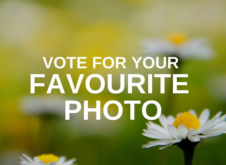 Get voting for your favourite photo from our autumn/winter photo competition!