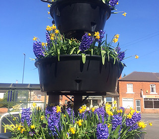 Good luck to Amberol customers in the national Britain in Bloom finals – Large villages and BIDs