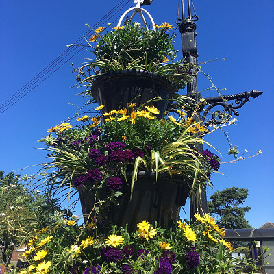 Saves you time, water and money!