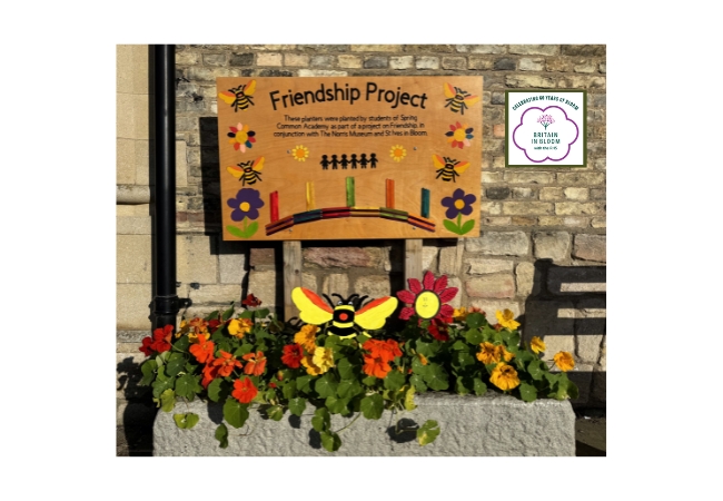 Britain in Bloom finalist St Ives plant friendships that last