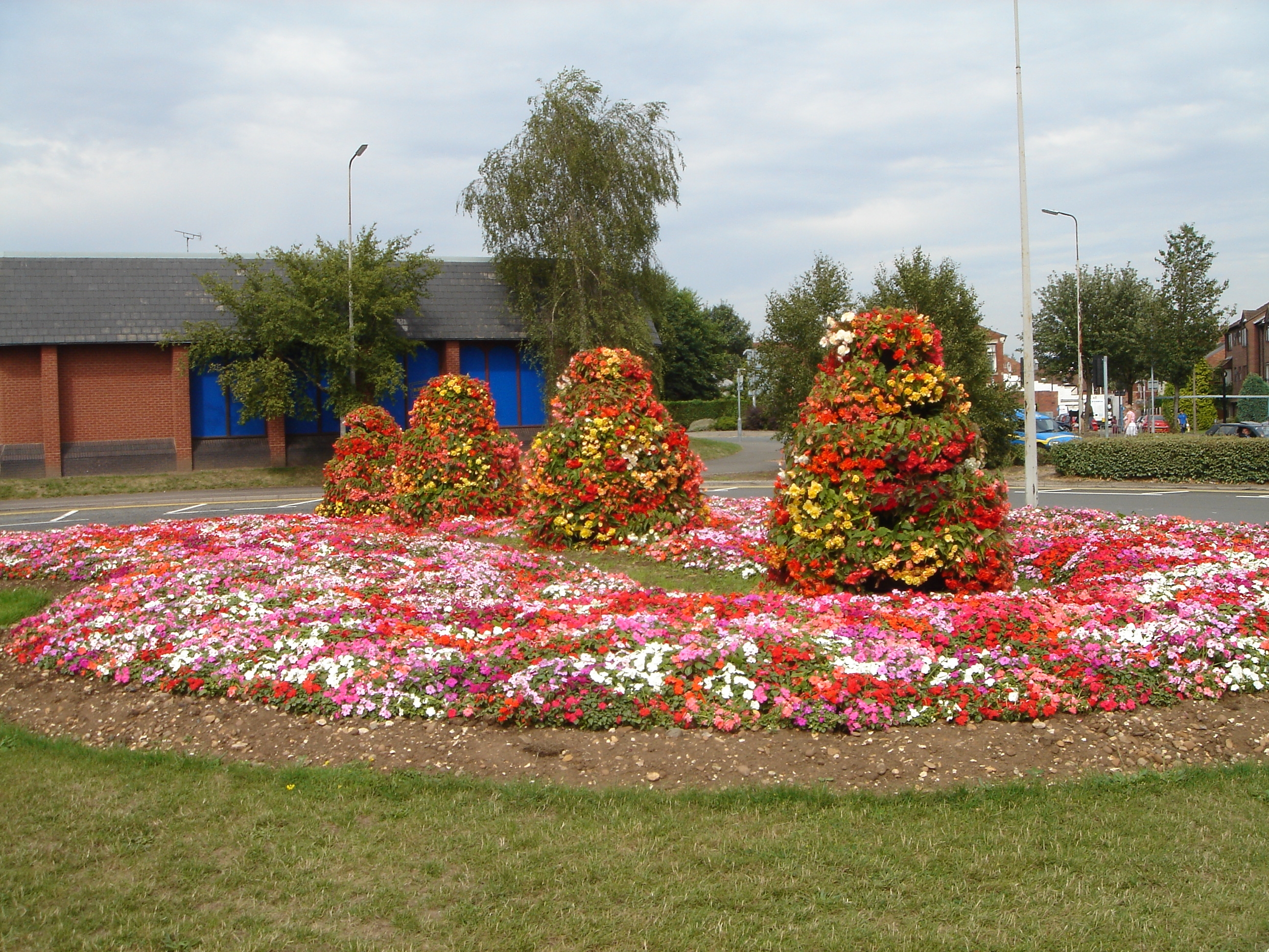 UK roundabouts set for wild meadow makeover