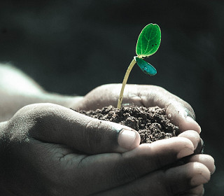 Why Britain in Bloom is good for your health