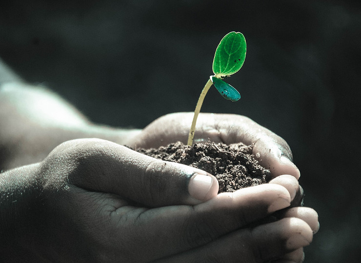 Why Britain in Bloom is good for your health