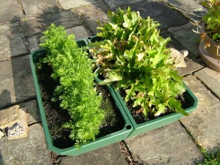 Encouraging the next generation of gardeners