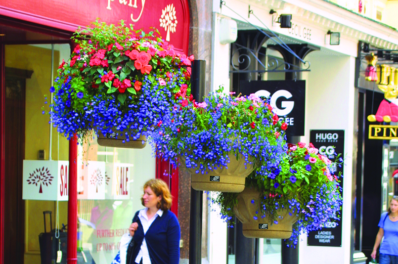 Bringing beauty to the high street