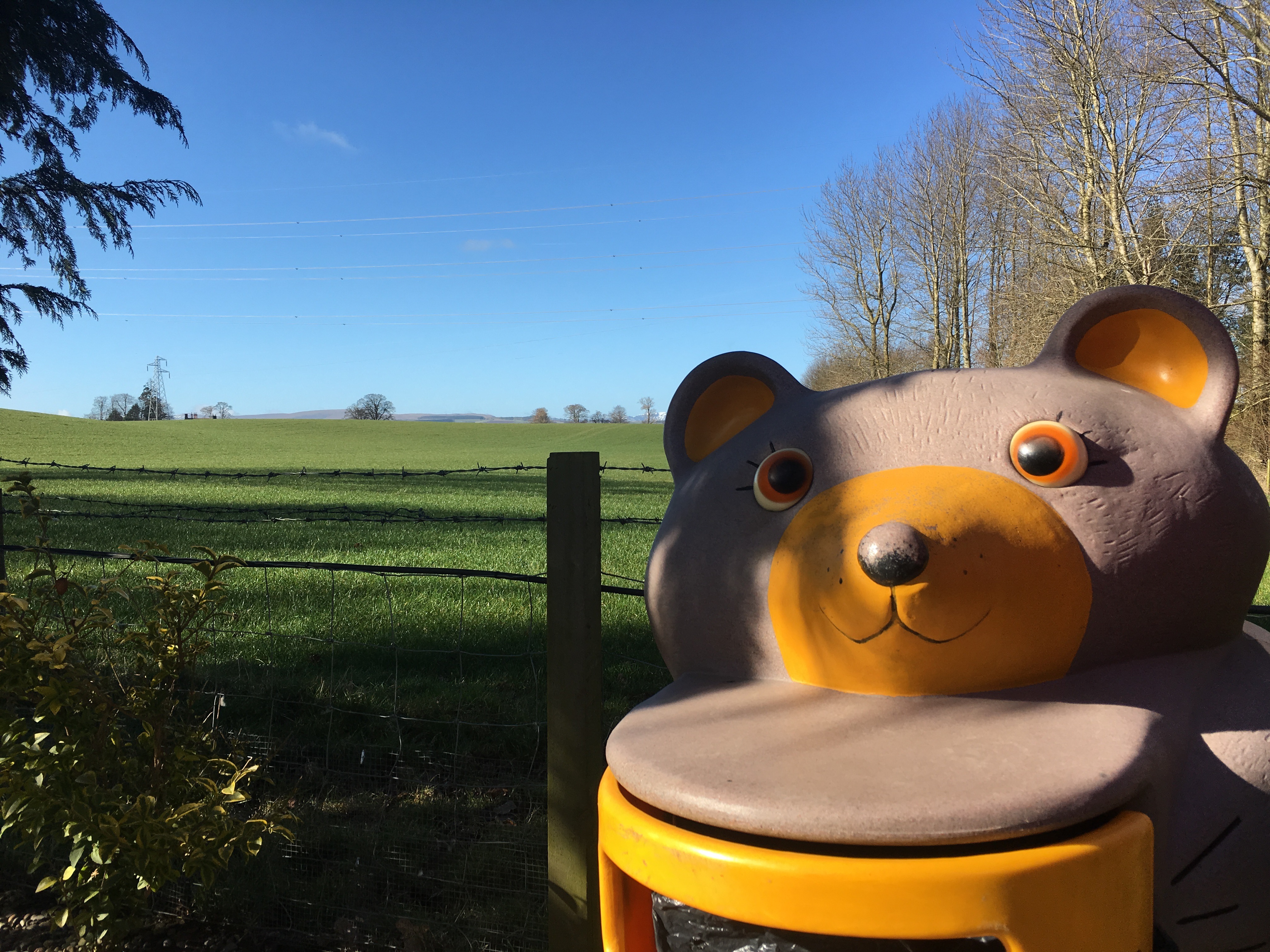 How you could make £500 from lovely litter!