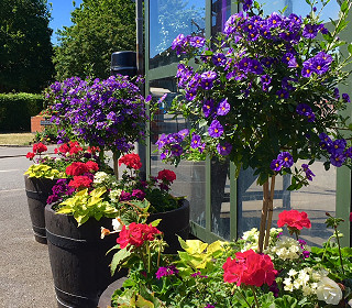 As Britain in Bloom judging approaches, self-watering planters help keep floral displays fresh