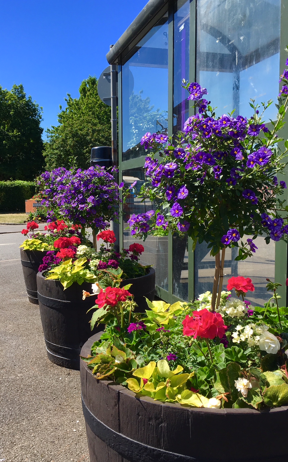 As Britain in Bloom judging approaches, self-watering planters help keep floral displays fresh